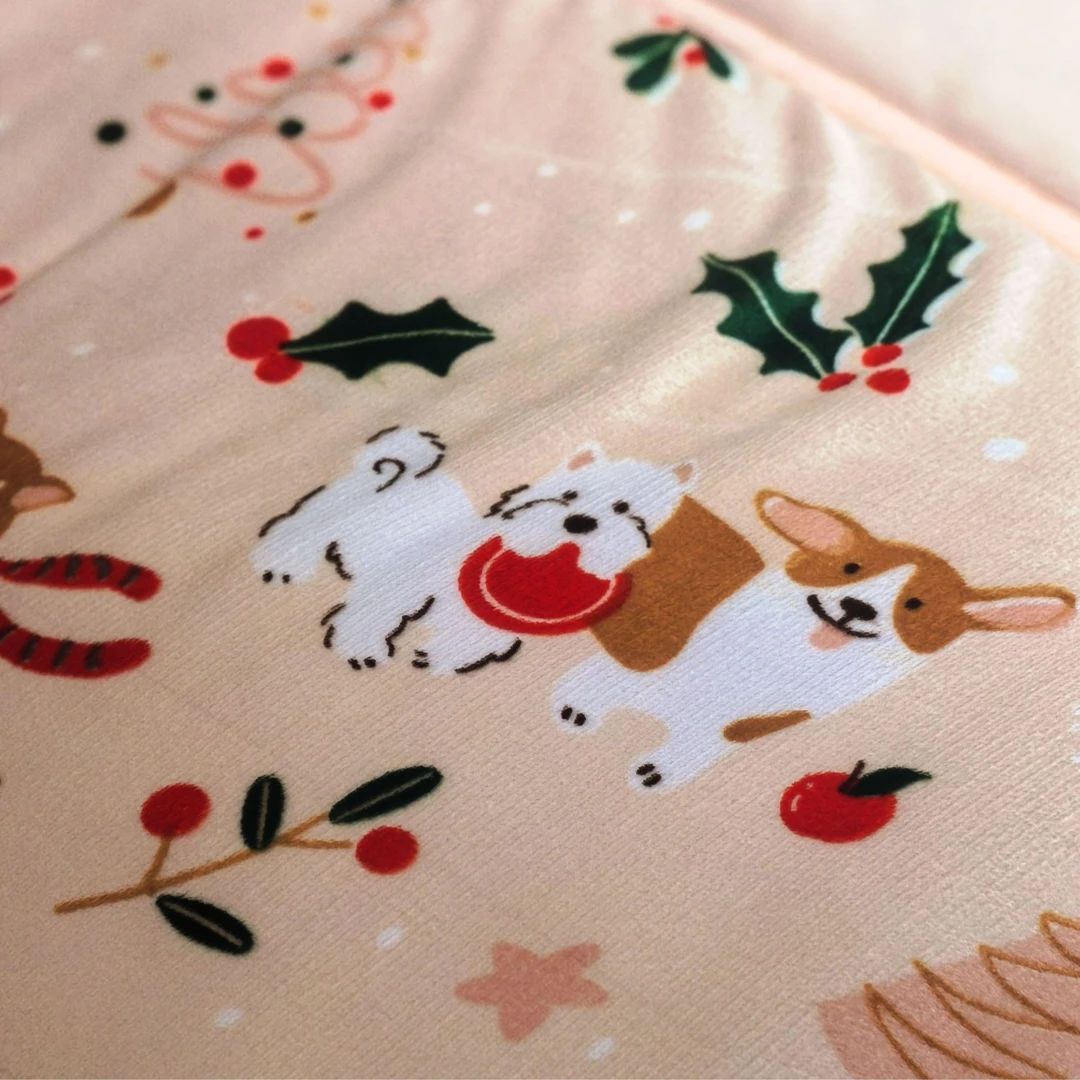 轻奢风冬季加绒加厚夹棉保暖冬被