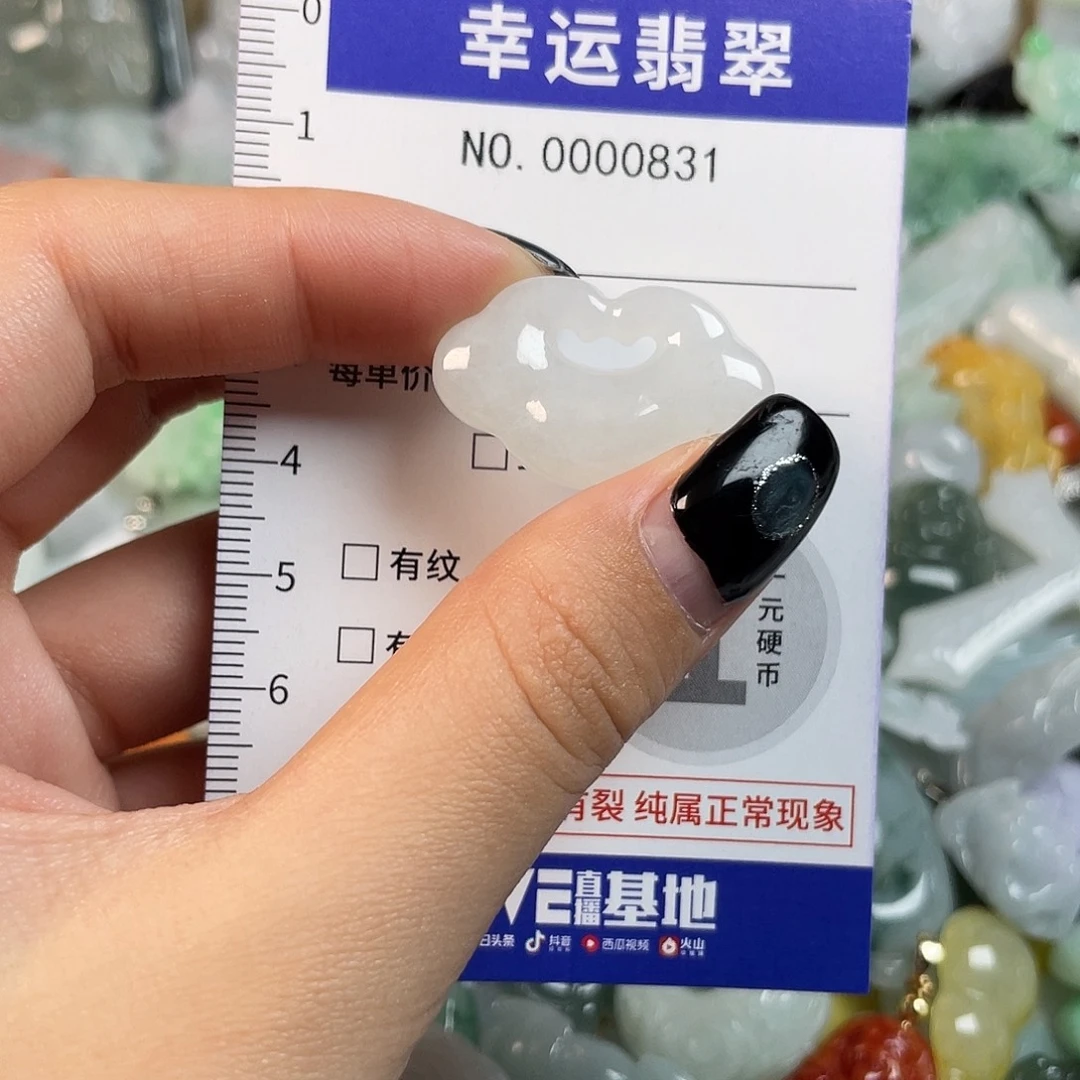 翡翠未镶嵌颈饰831