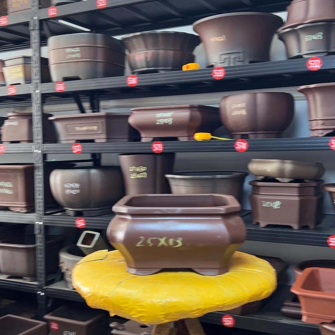 紫砂其他呜呜呜呜呜我