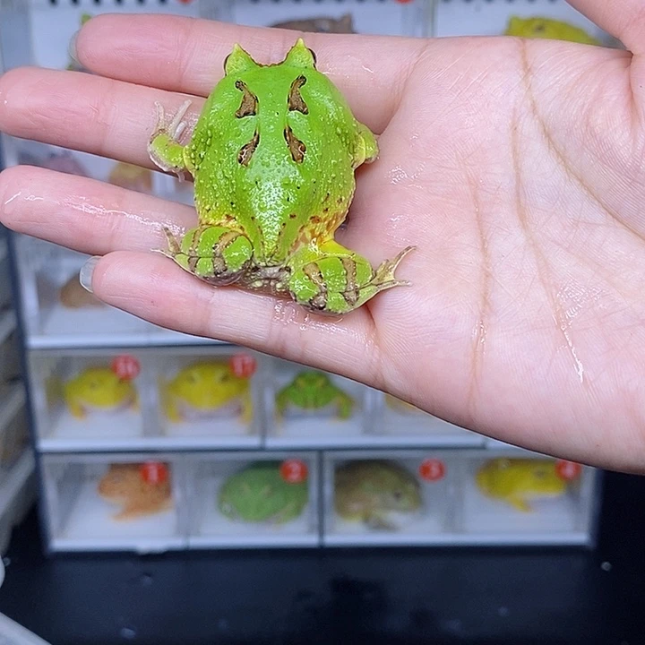 特价促销价格为什么