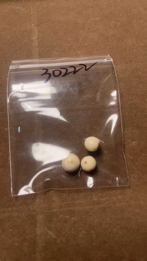 30222猛犸象牙一顶二腰配饰