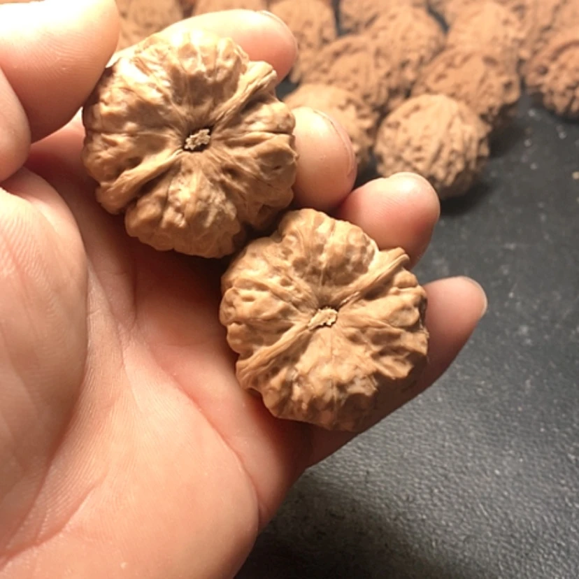 【闪购商品】用****1蛤蟆