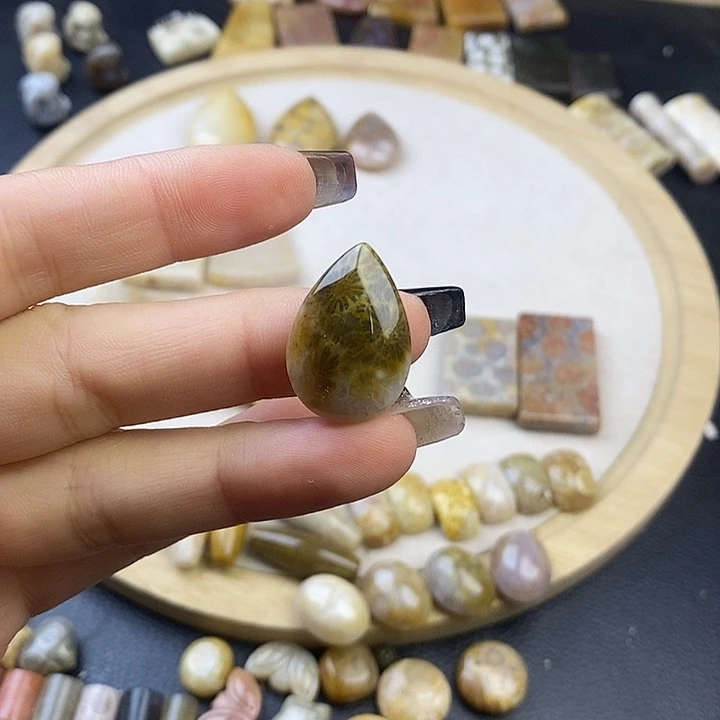 硅化珊瑚（珊瑚玉）未镶嵌颈饰7