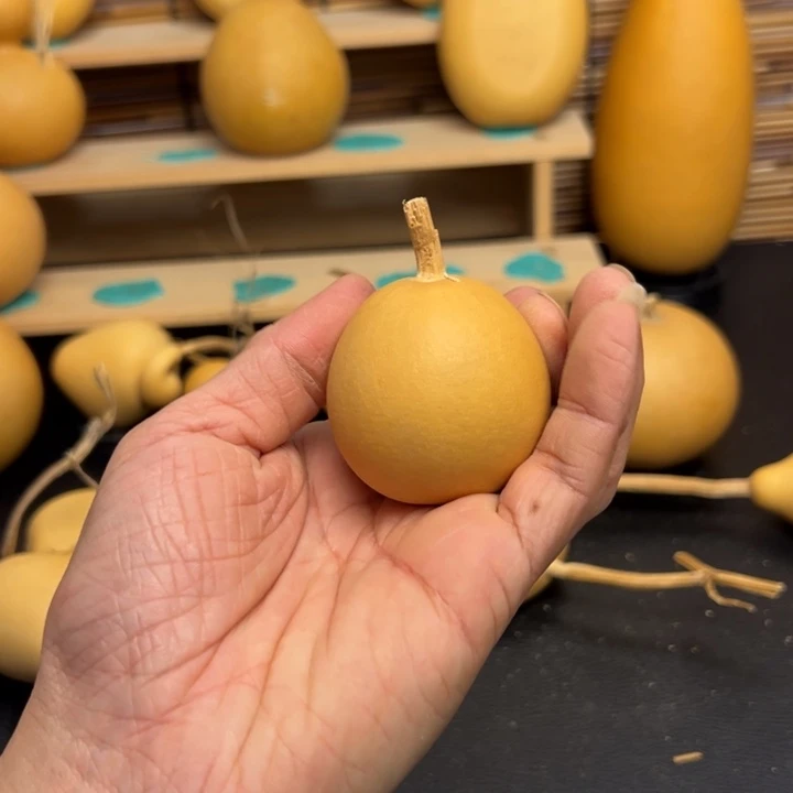 玛***猫235566556655655666