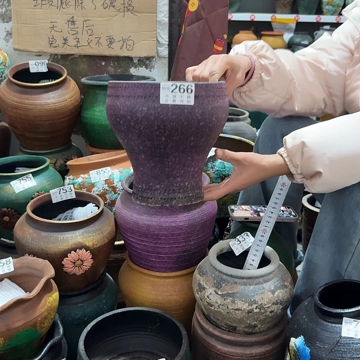 紫色鱼尾266高度20口径18