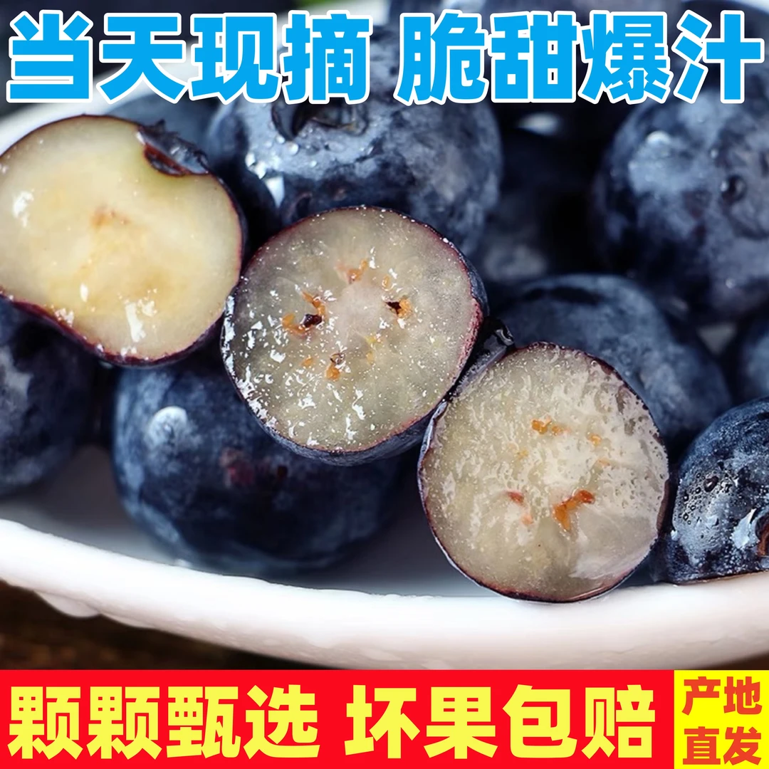【商超品质】蓝莓特大果15mm+新鲜果园采摘蓝莓脆甜孕妇宝宝放心吃