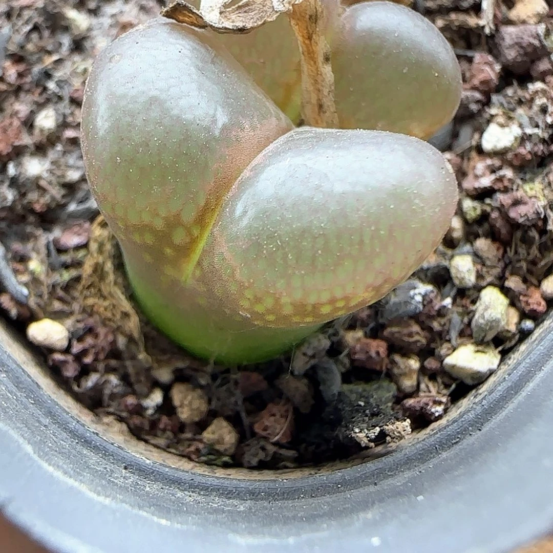 向***看哈哈哈哈哈哈哈哈46812