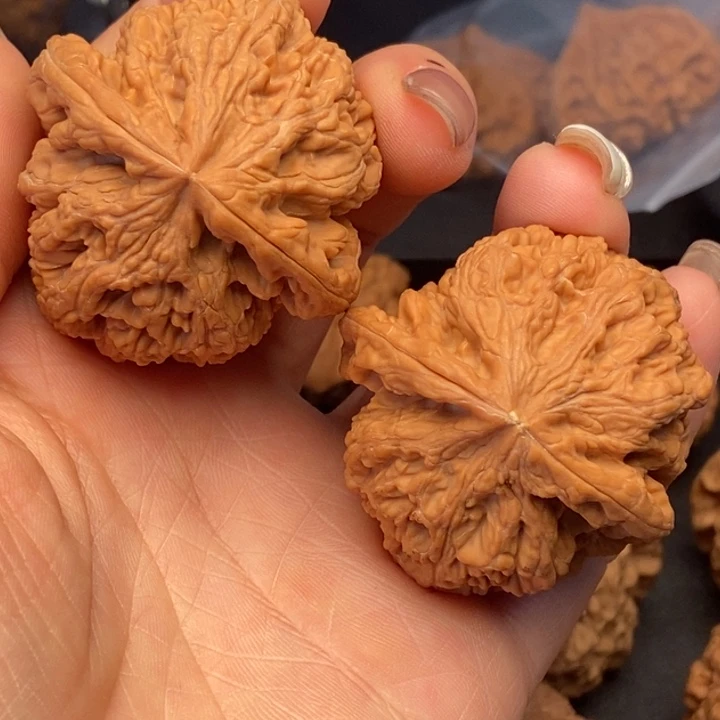 专***装文玩核桃把件大粗筋