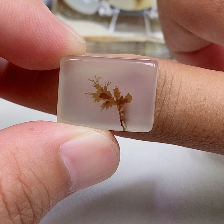 未镶嵌玛瑙/玉髓珠宝奇石硕**磊