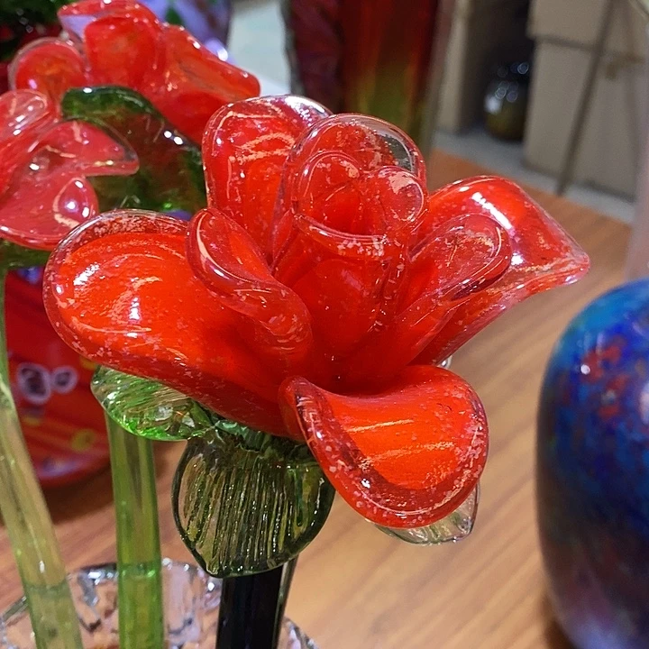 夜光花高45厘米宽12厘米