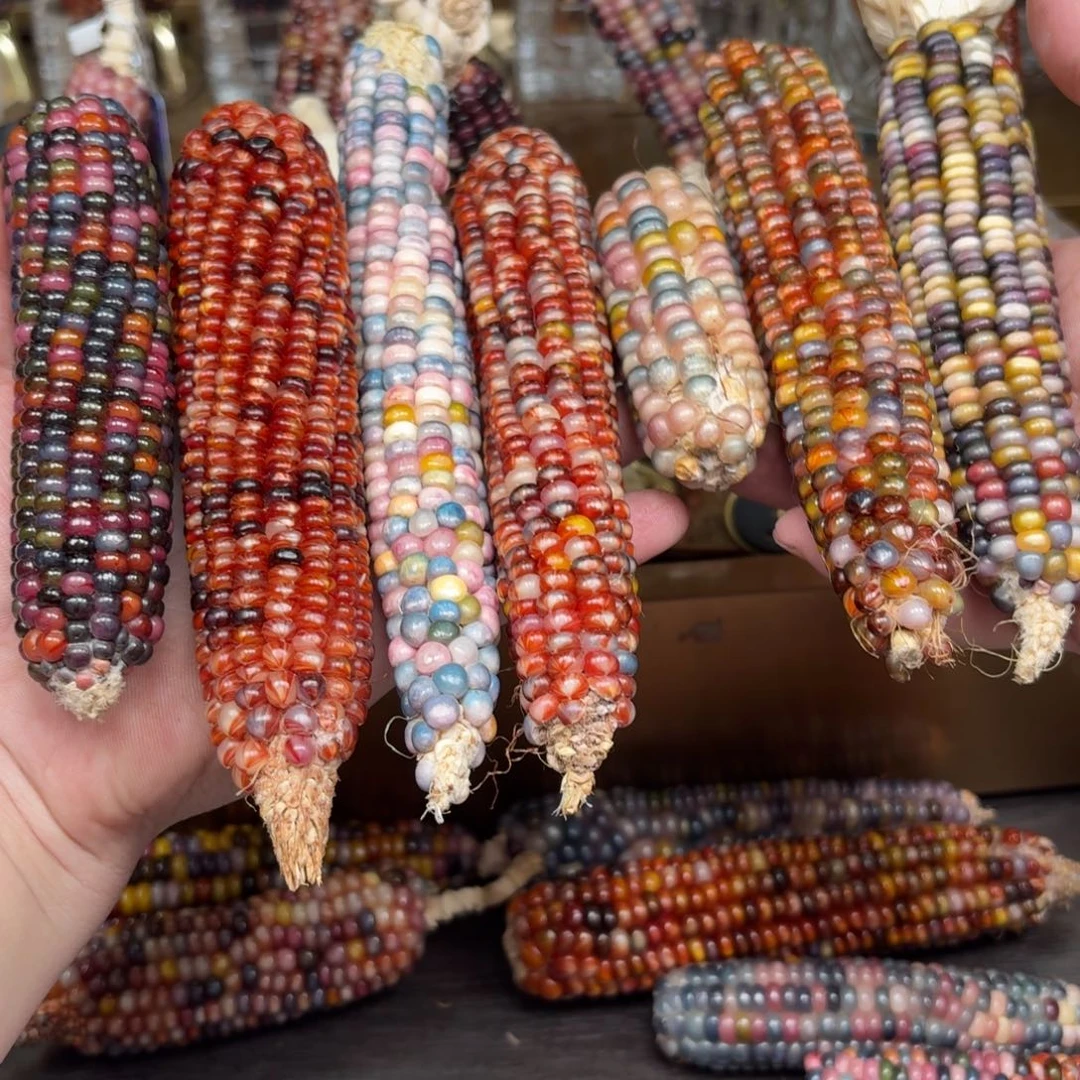 柏香籽/百香籽吊坠一****.