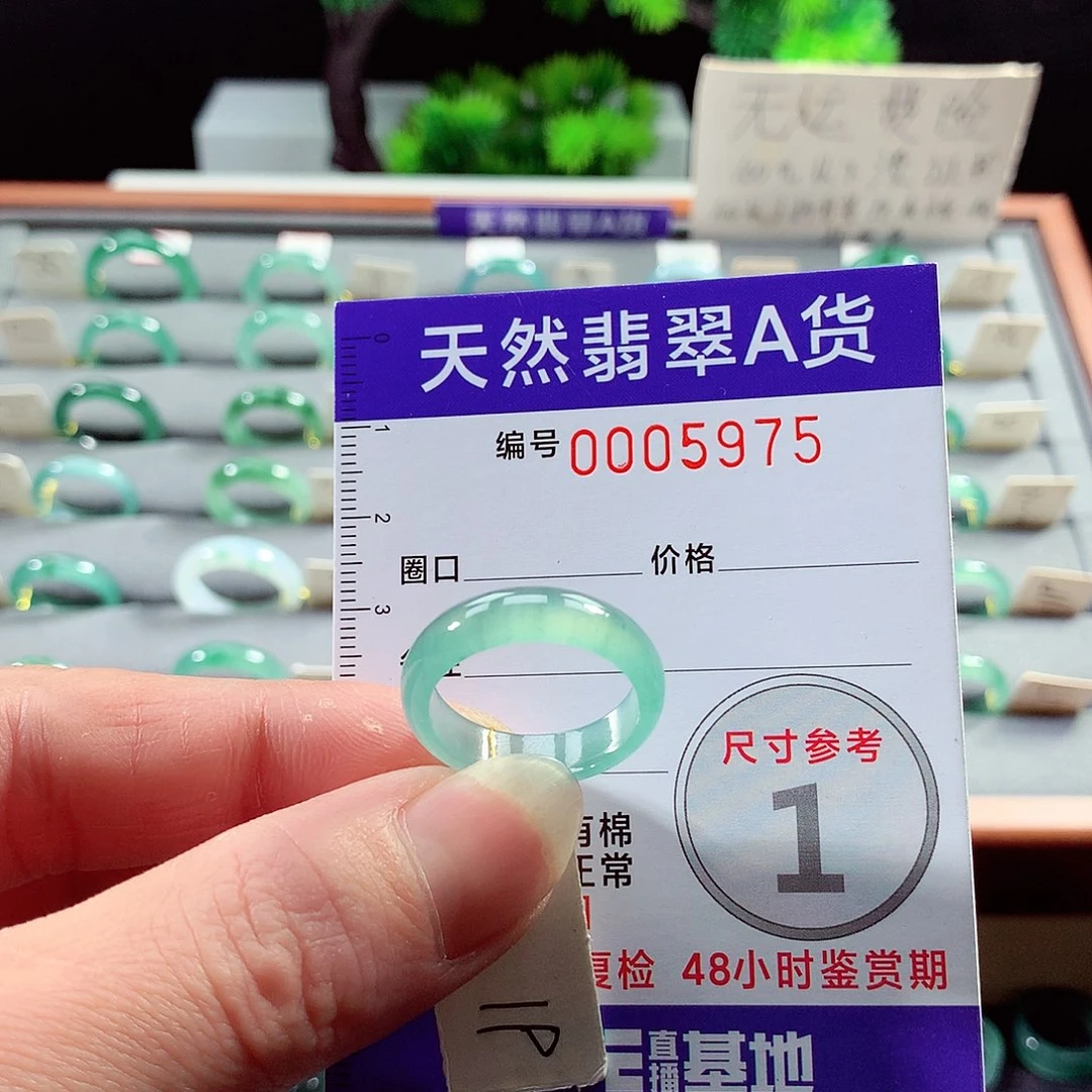 翡翠戒指未镶嵌19号