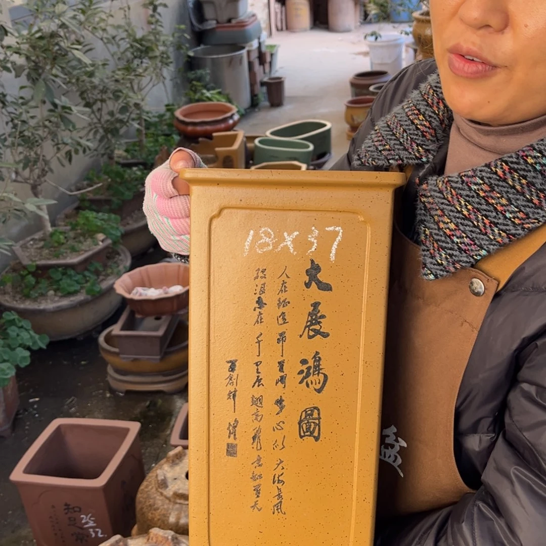 花盆紫砂盆景艺术