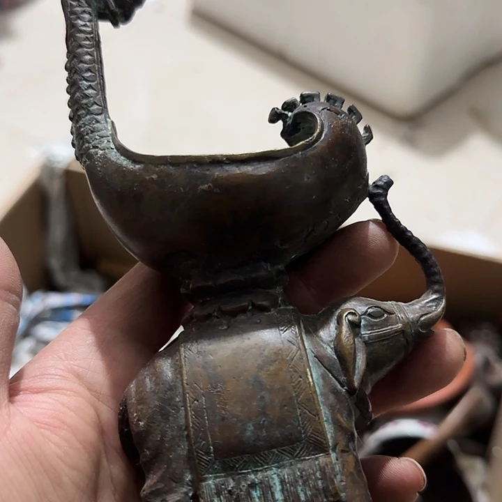 贝壳杉洪**主Fgfhghghghghv