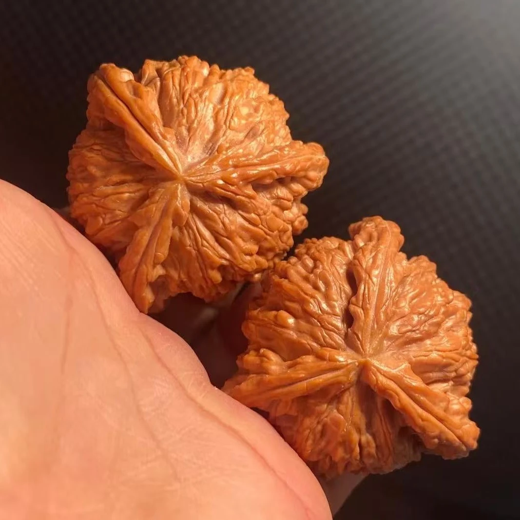 白狮子四座楼南疆石精品文玩核桃