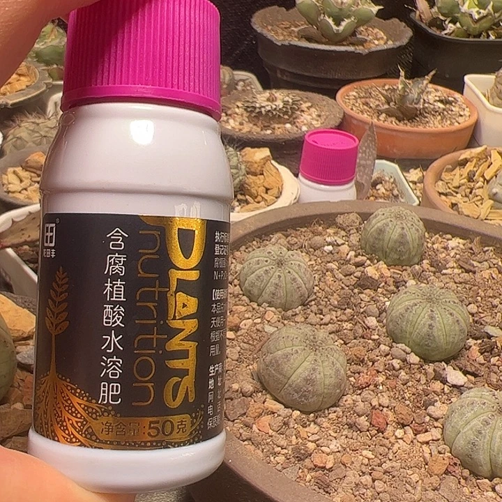 夏****赠品壮根腐植酸+送风化石头