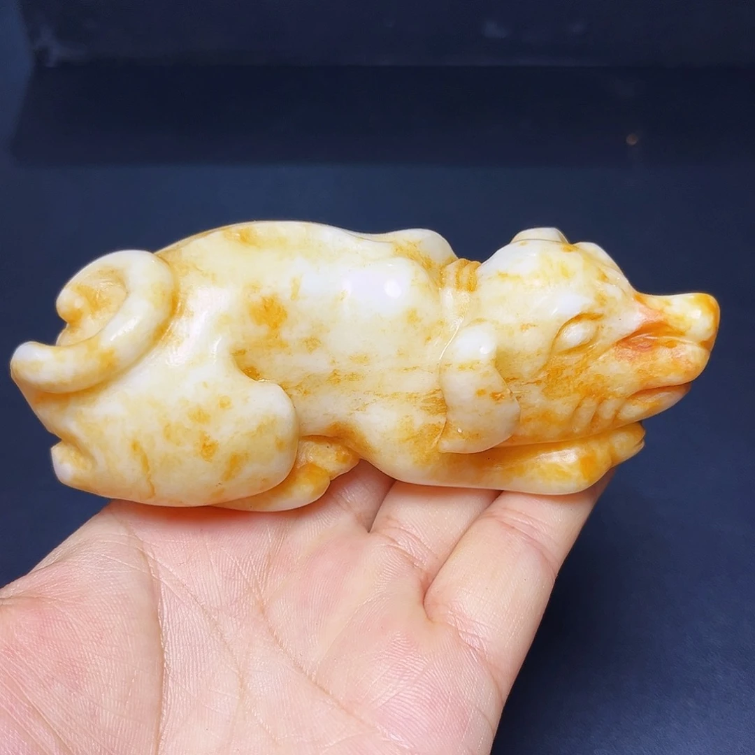 官方链接下单放心拍