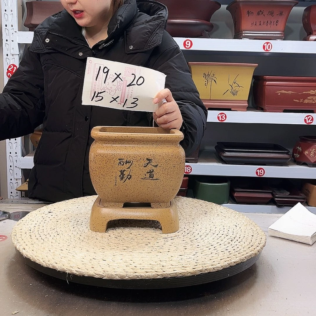 紫砂花盆紫砂花盆里