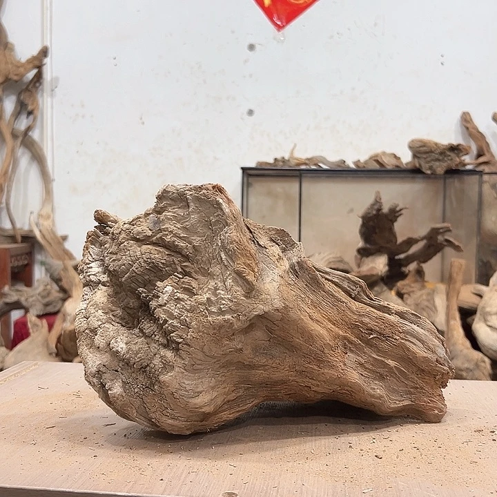 柏木祈*我们都是好孩子呀我也是