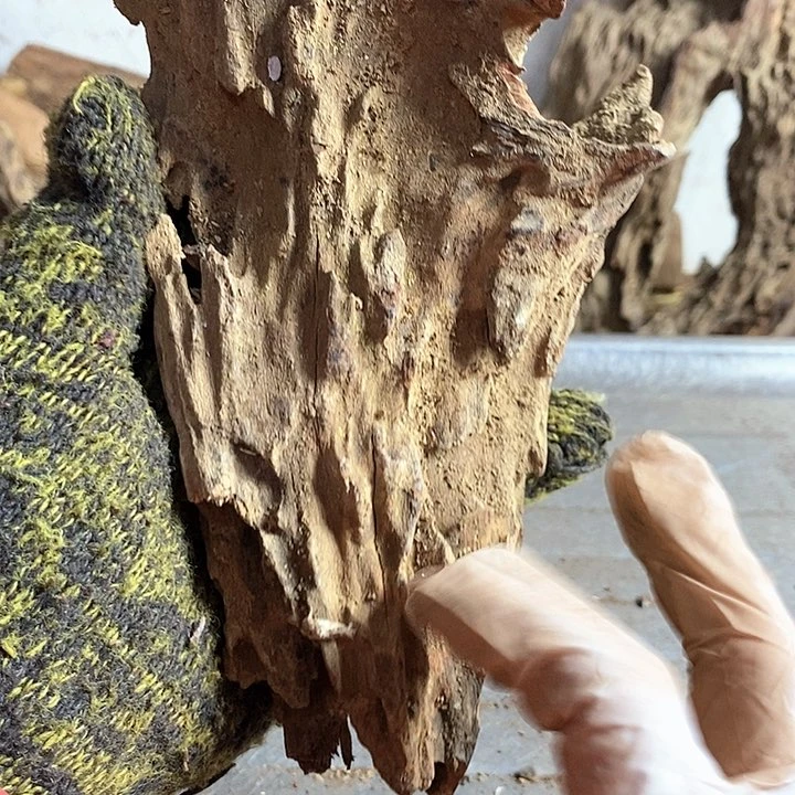 花梨木类太*豆海南黄花梨