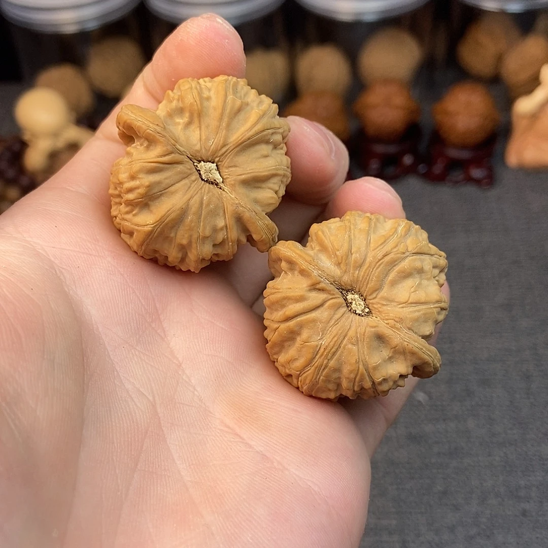 核桃球白37尺寸编号666全品