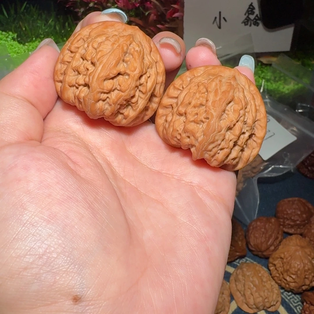 核桃把件098号42平谷九龙文玩核桃