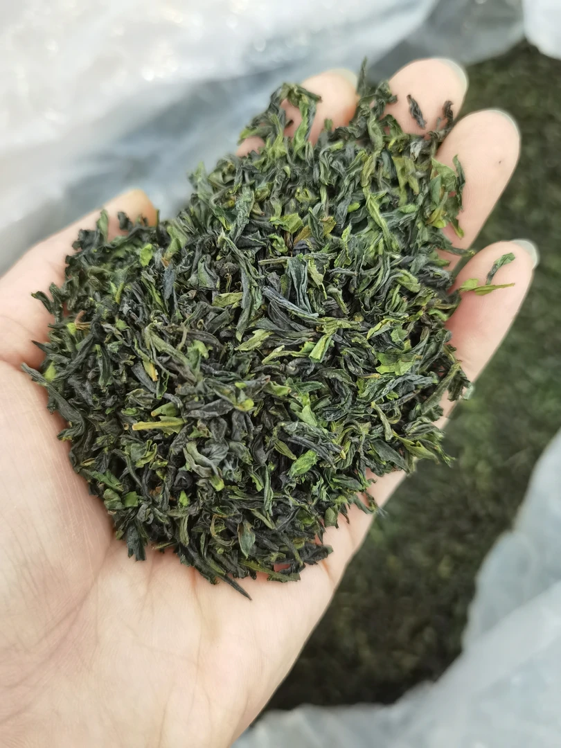 【明前高货断碎】2025新茶瓜片春茶核心产区正宗高山茶手工茶清仓