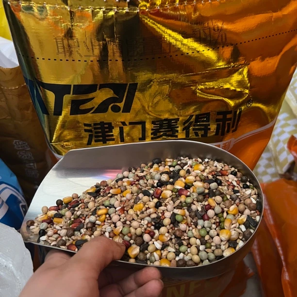 津门赛得利能量换羽鸽粮