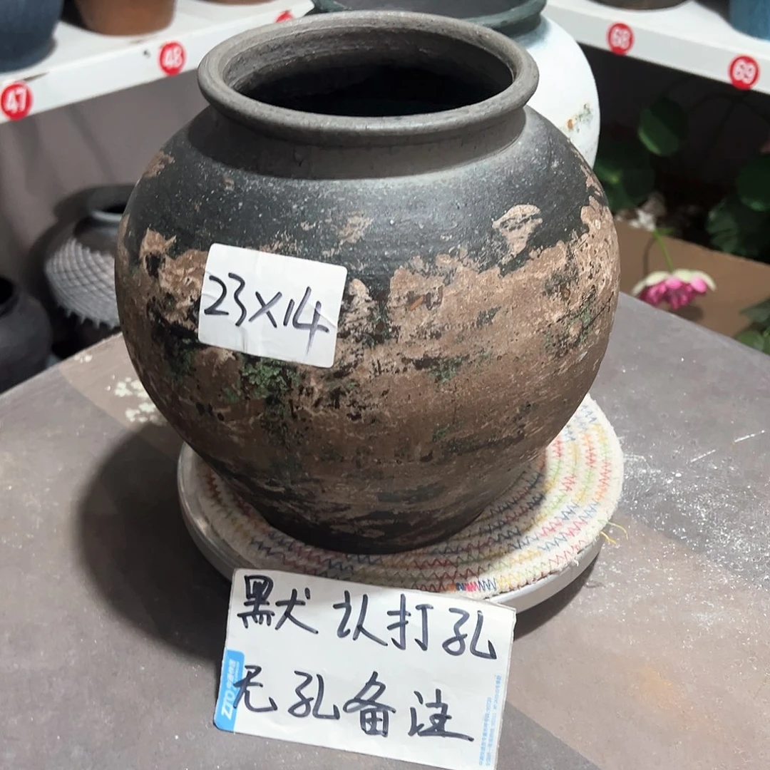 红陶29号无孔备注