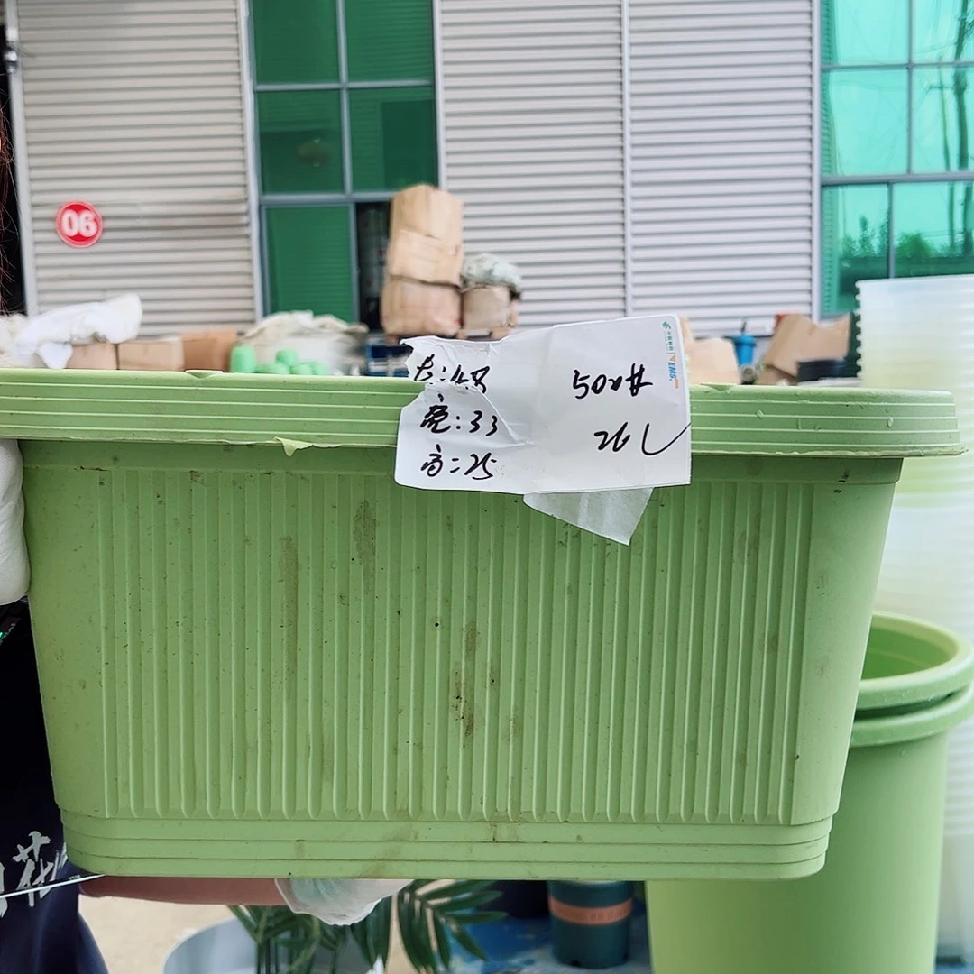 菜盆500#果绿3个无托