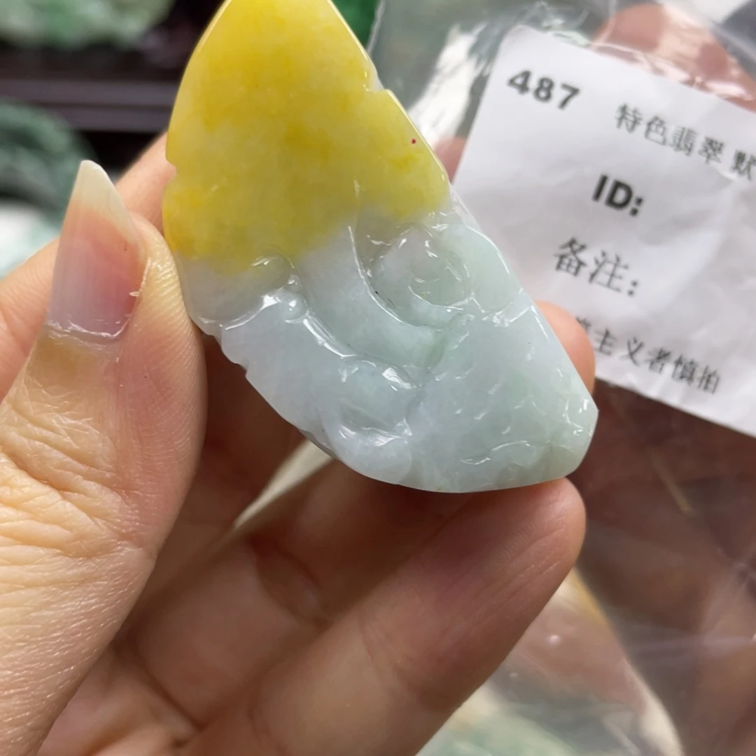 翡翠未镶嵌颈饰牌子