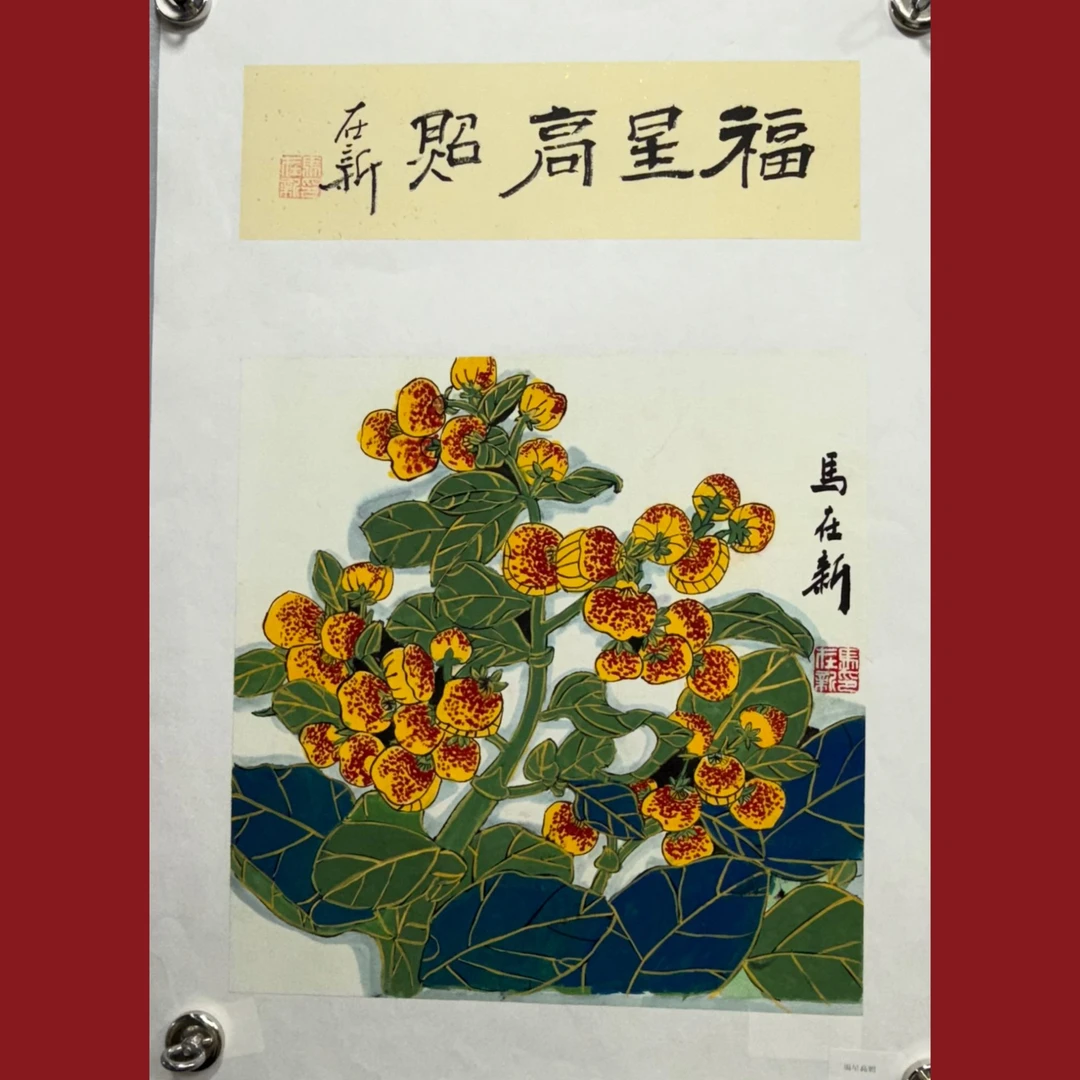 15马再新老师1平尺