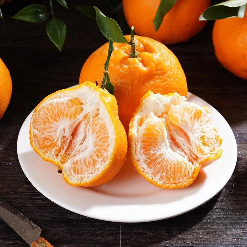 【次日达】应季新鲜毛箱5斤畅销，爆甜多汁，正宗四川耙耙柑