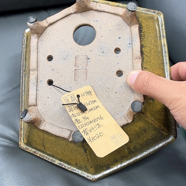 紫砂花盆清****尘紫砂的花也太