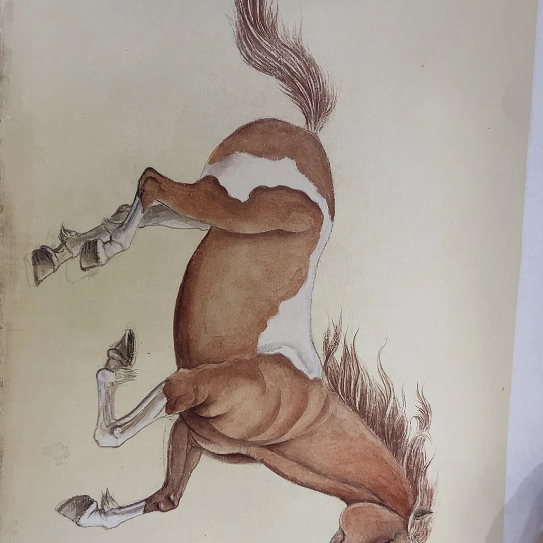 国画书法作品欣赏，书法