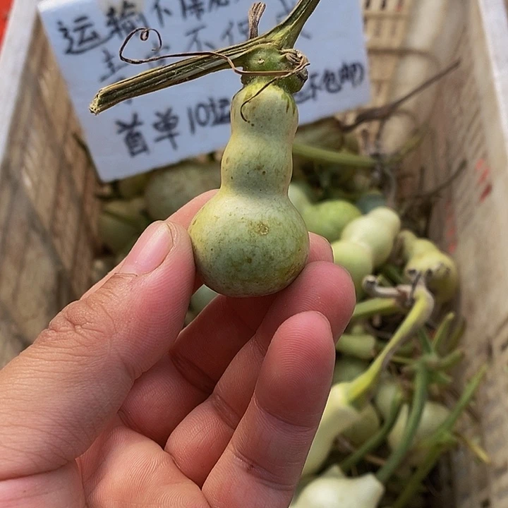 f****～哈哈哈哈哈哈哈哈哈哈哈