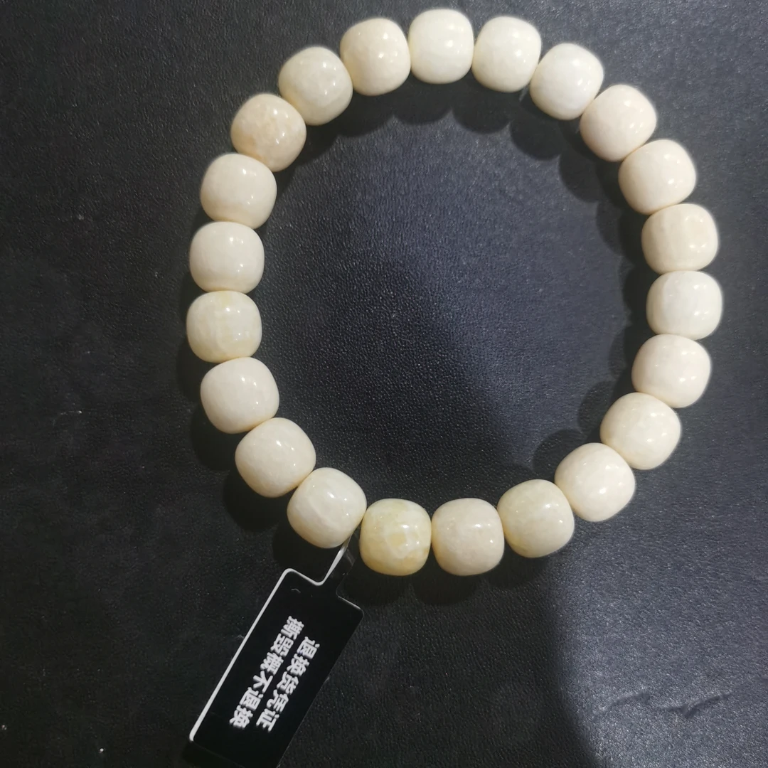 猛犸虬全脑尺寸10x9手串TT3