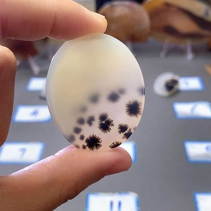 T***f玛瑙/玉髓未镶嵌珠宝半成品