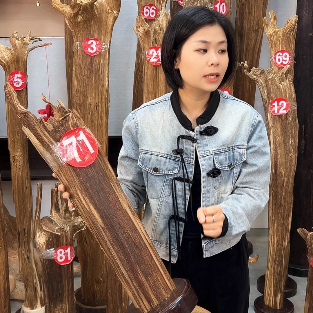 沉香摆件海南沉香摆件