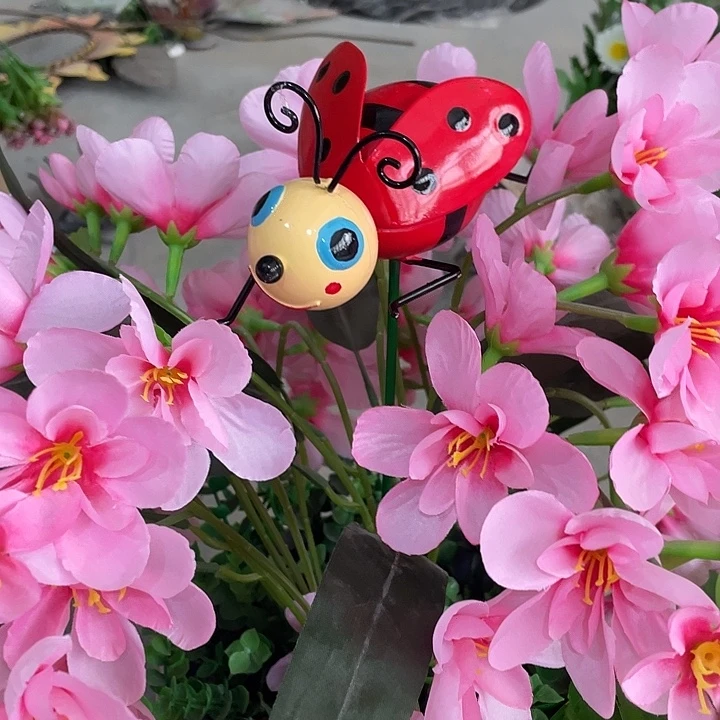 样品样品红色瓢虫花插