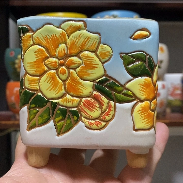 韩式多肉植物花盆