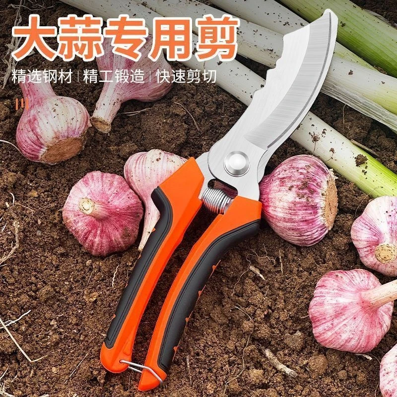 大蒜剪专用新鲜蒜干蒜大头蒜农用家用多功能大蒜剪刀特快锋利免磨