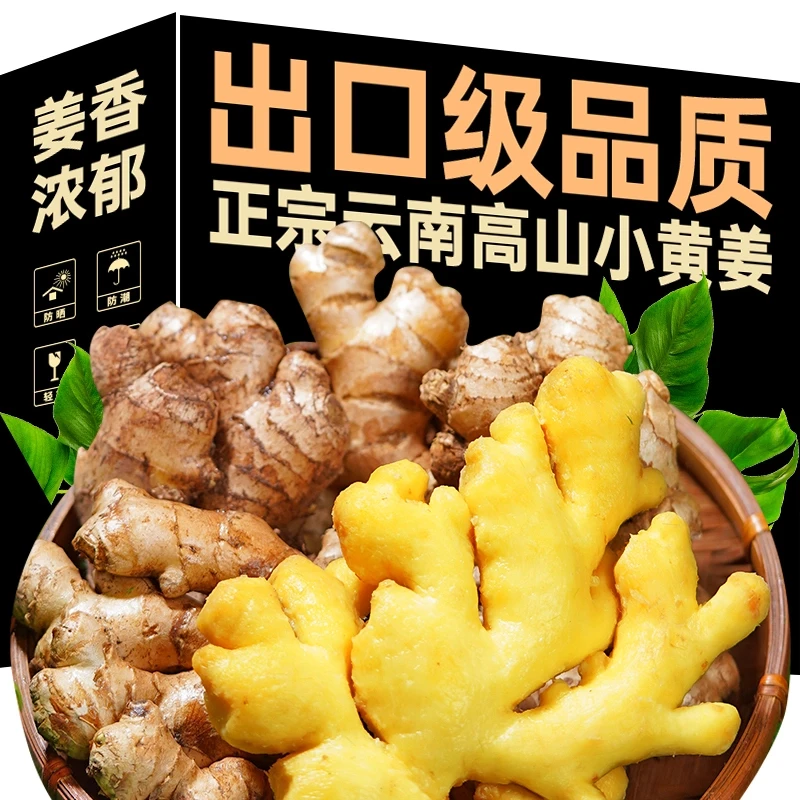 云南高原高山小黄姜老姜新鲜现挖产地直发姜香味浓辛辣多汁蔬菜