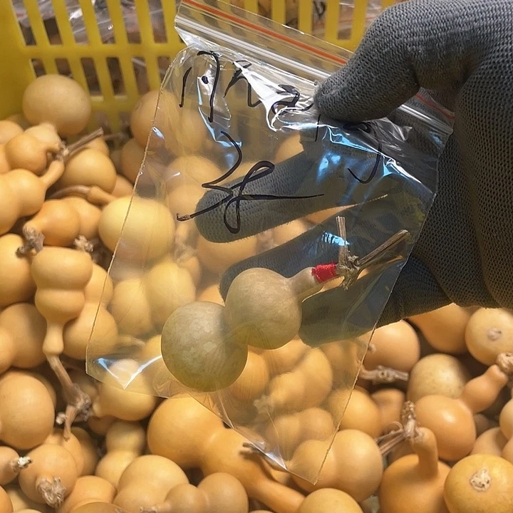 凡**哥葫芦葫芦葫芦葫芦