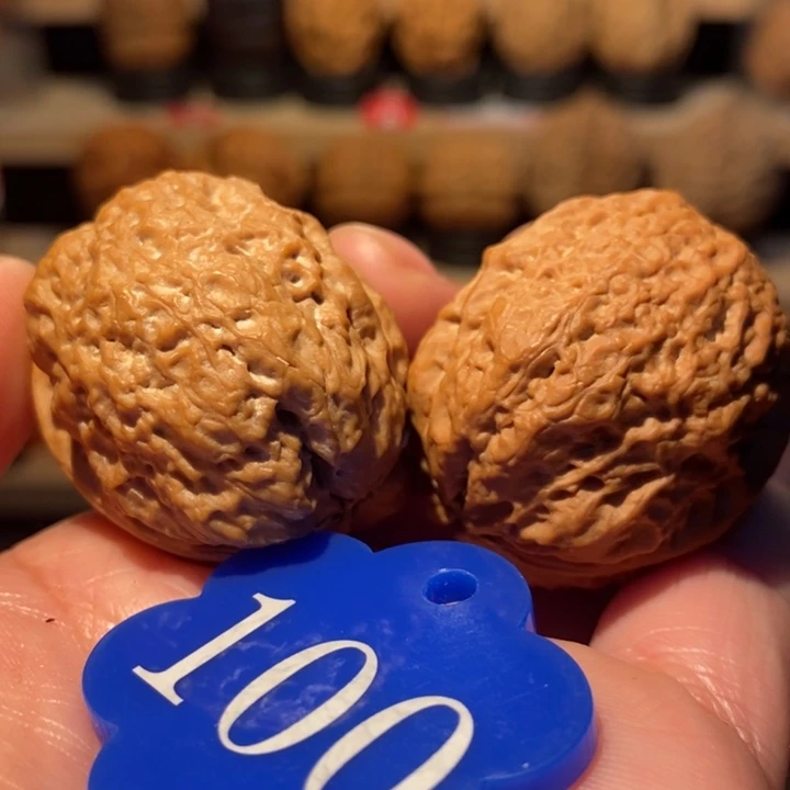 木质类蜜纹老蟾头37尺寸，新粉福利