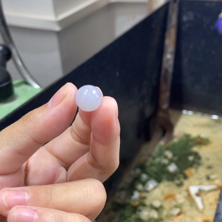 梧***5定制翡翠未镶嵌边角料