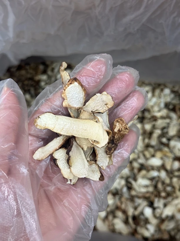 佟妈煌煌西藏松茸干童茸干1-500g