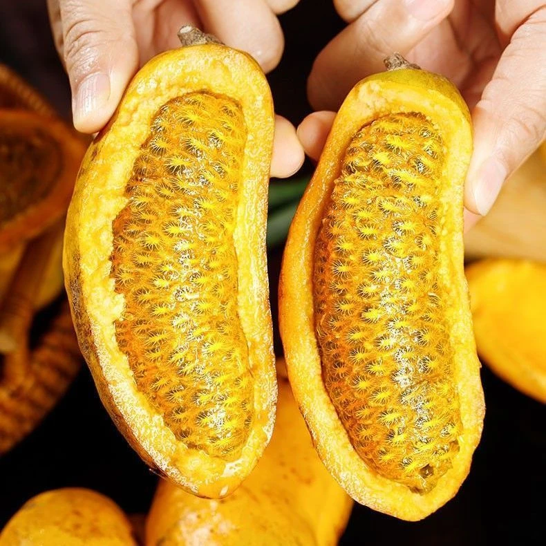 新鲜现摘野生九月黄应季水果牛卵坨野香蕉1-5斤装