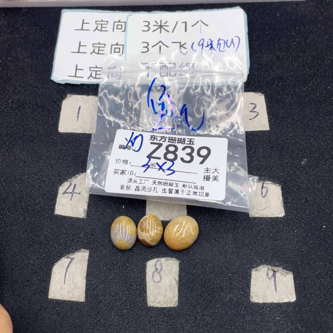 硅化珊瑚（珊瑚玉）未镶嵌颈饰鱼*游