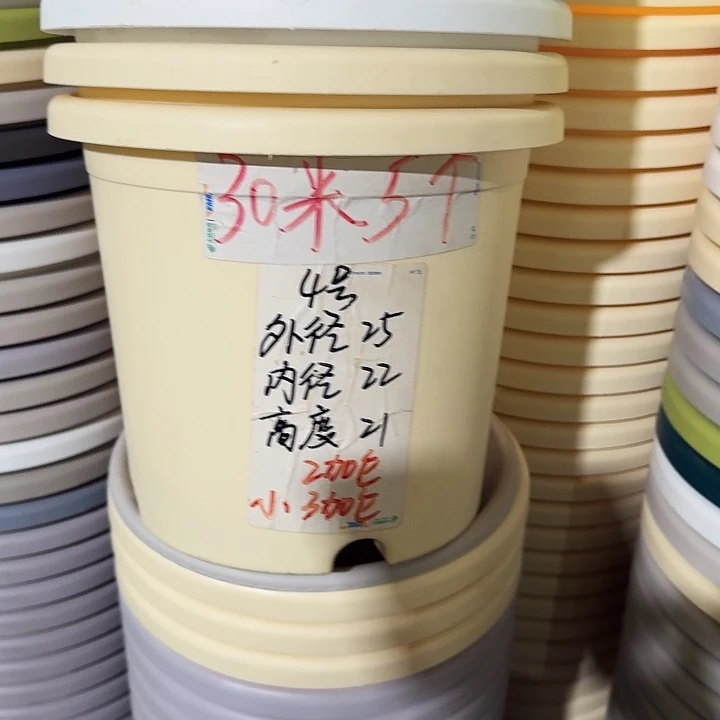四季4号米黄无托8个特价微瑕